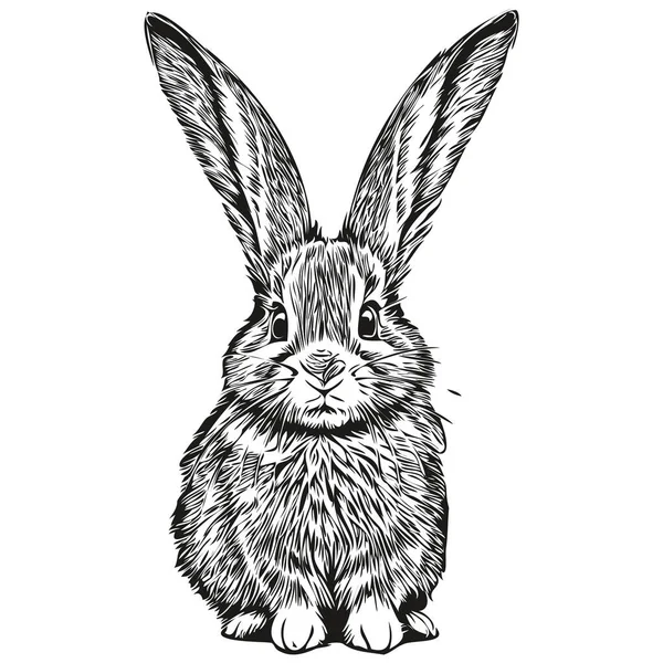 Lindo Cartel Infantil Dibujado Mano Para Niños Con Liebre Conejo — Archivo Imágenes Vectoriales