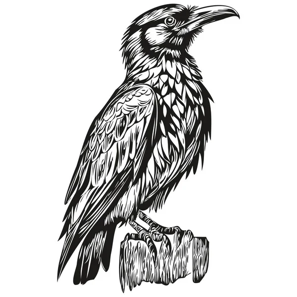 Cute Kids Hand Drawn Nursery Poster Raven Animal Corbi — Stock Vector