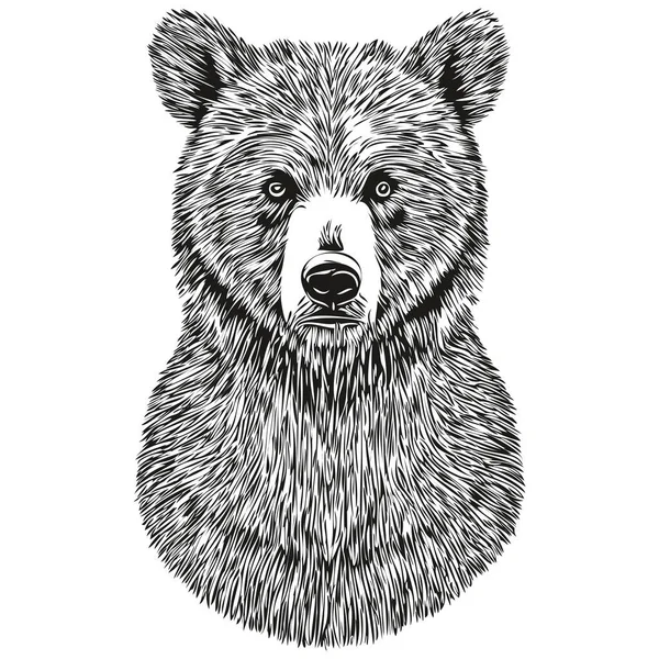 Handgezeichneter Bär Auf Weißem Hintergrund Brui — Stockvektor