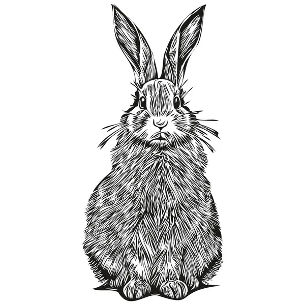Hand Drawn Cartoon Rabbit Vector Vintage Illustration Har — Stock Vector