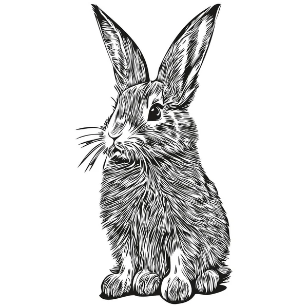 Logotipo Del Conejo Ilustración Blanco Negro Dibujo Mano Har — Archivo Imágenes Vectoriales