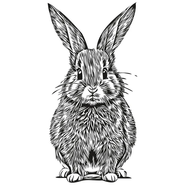 Rabbit Logo Black White Illustration Hand Drawing Har — Stock Vector