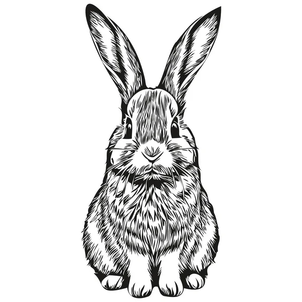 Rabbit Vector Illustration Line Art Drawing Black White Har — Stock Vector