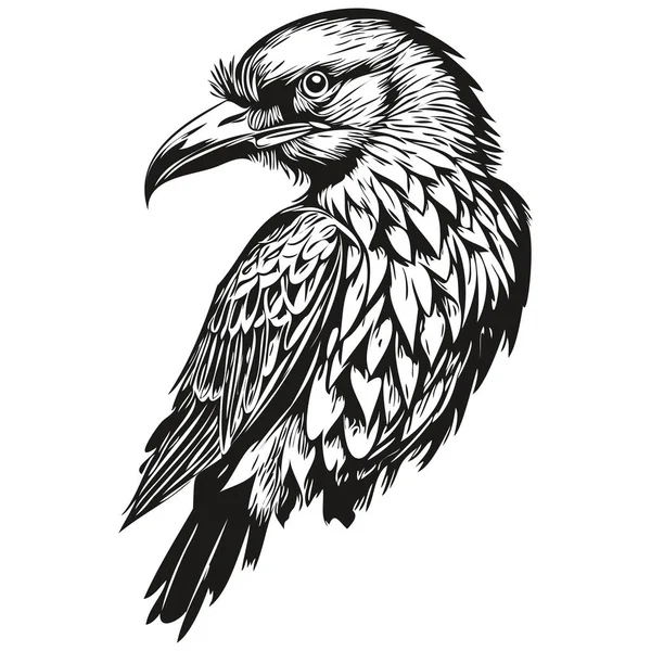 Raven Logo Black White Illustration Hand Drawing Corbi — Stock Vector