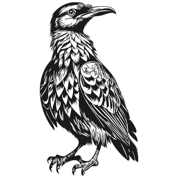 Raven Logotipo Preto Branco Ilustração Mão Desenho Corbi — Vetor de Stock