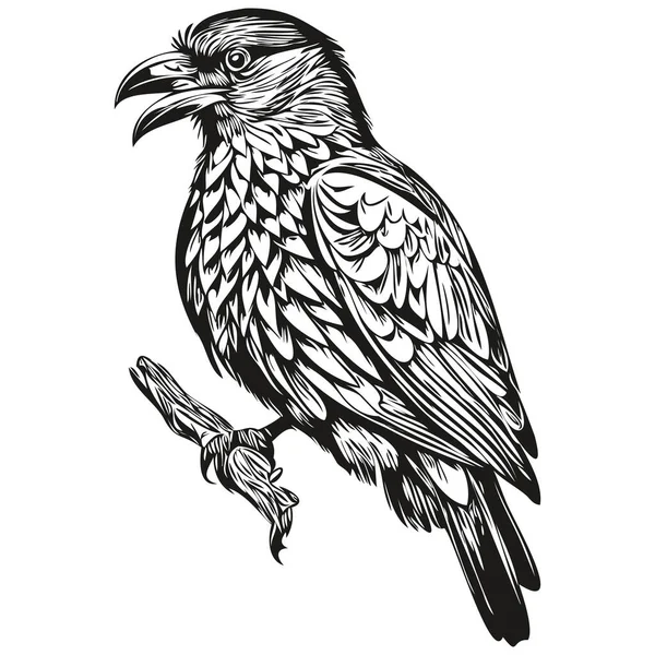 Raven Logo Black White Illustration Hand Drawing Corbi — Stock Vector