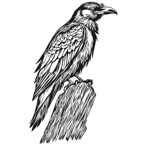 Raven Schetsen Schets Met Transparante Achtergrond Met Hand Getekend Illustratie — Stockvector