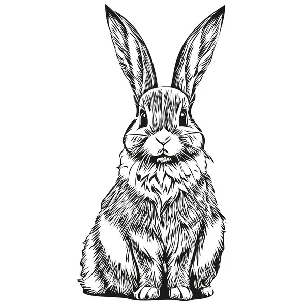 Realistic Rabbit Vector Hand Drawn Animal Illustration Har — Stock Vector