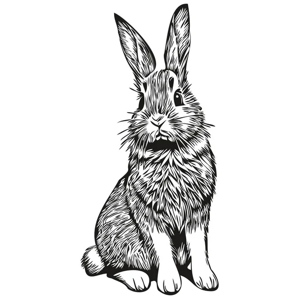 Vector Image Silhouette Rabbit White Background Har — Stock Vector