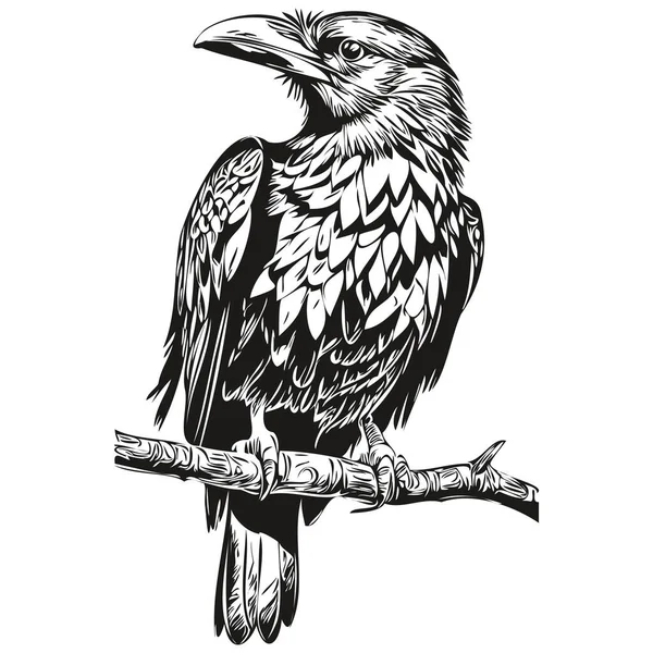 Vector Image Silhouette Raven White Background Corbi — Stock Vector