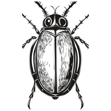 Böcek vektör çizelgesi çizimi. Siyah-beyaz böcek çizimi.