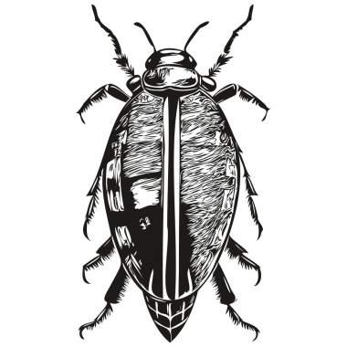 Çocukların el çizimi bebek odası posterinde böcek hayvan böceği var.