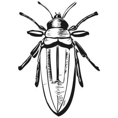hata çizimleri, şeffaf arkaplan çizimi, el çizimi resim hatası
