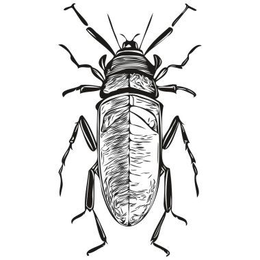 hata çizimleri, şeffaf arkaplan çizimi, el çizimi resim hatası