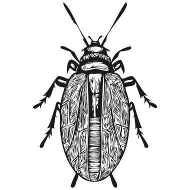 Vintage oymalı izole edilmiş hata çizimi, kes mürekkep çizim hatası