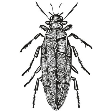 Vintage oymalı izole edilmiş hata çizimi, kes mürekkep çizim hatası