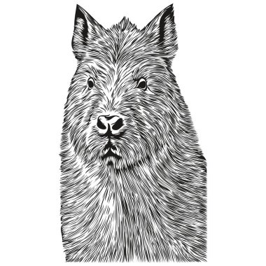 Capybara vektör çizim çizgisi siyah beyaz Capybara çiziyor