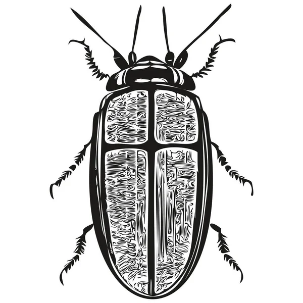 Çizimi Karikatür Böceği Vektör Vintage Çizim Böceği — Stok Vektör