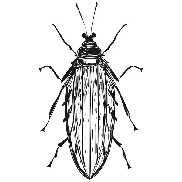 Bug Vector Illustration Line Art Drawing Black White Bug — Stock Vector
