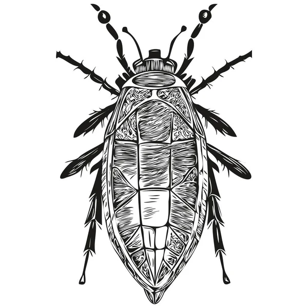 Bug Vector Illustration Line Art Drawing Black White Bug — Stock Vector
