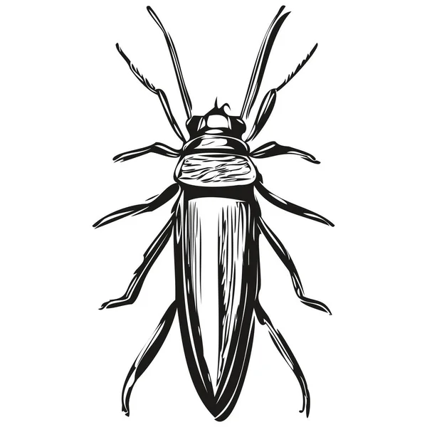 Funny Cartoon Bug Line Art Illustration Ink Sketch Bug — Stock Vector