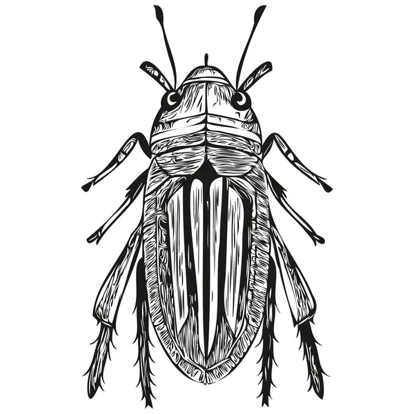 Affiche Pépinière Dessinée Main Pour Enfants Avec Insecte Animal — Image vectorielle