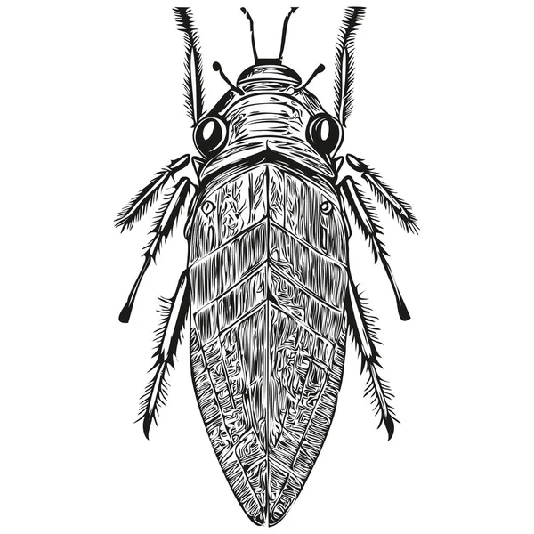 Affiche Pépinière Dessinée Main Pour Enfants Avec Insecte Animal — Image vectorielle
