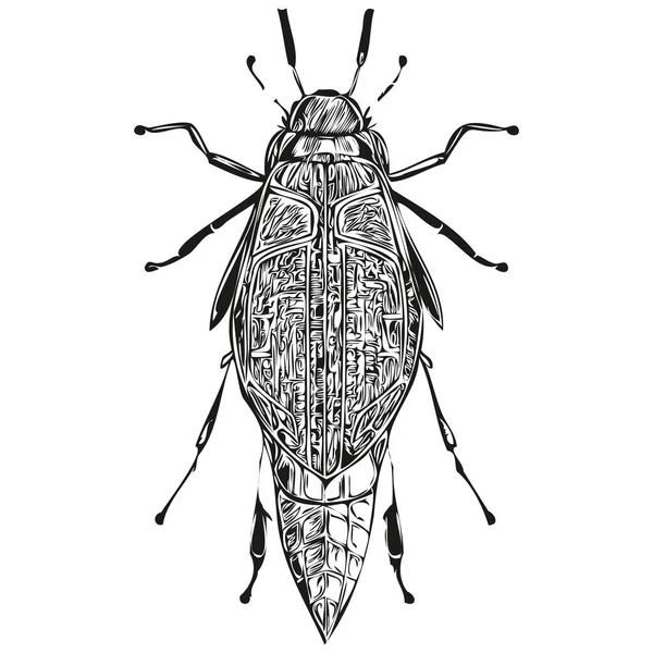 Illustration Vintage Bug Vecteur Noir Blanc Art Bug — Image vectorielle