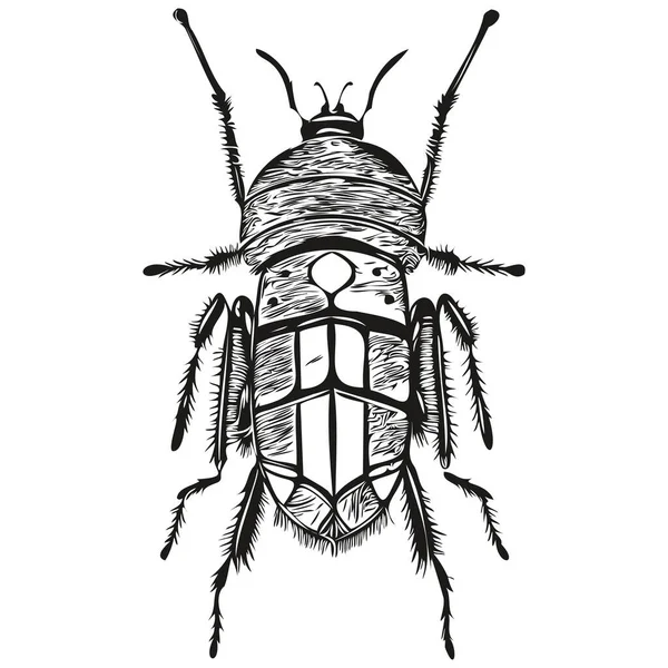 Logo Bug Bianco Nero Illustrazione Mano Disegno Bug — Vettoriale Stock