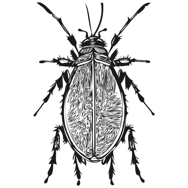 Bug Sfondo Bianco Bug Illustrazione Disegno Mano — Vettoriale Stock