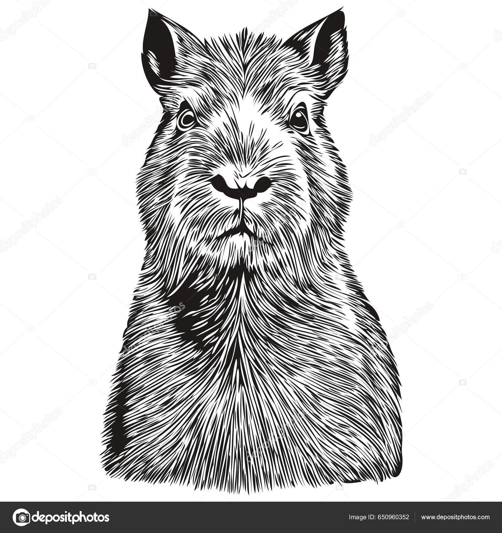 1 st Capybara Design Dekoration Hantverk, tecknade djurformade