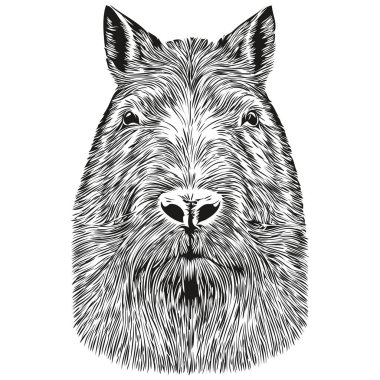 El çizimi çizgi film Capybara, vektör vintage illüstrasyon capybara