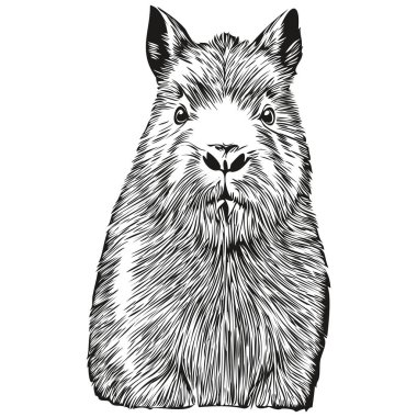 Capybara vektör çizim çizgisi siyah beyaz Capybara çiziyor