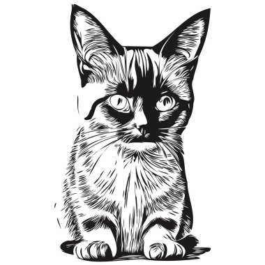 Beyaz arkaplandaki bir kedinin silüetinin vektör görüntüsü, Kitte