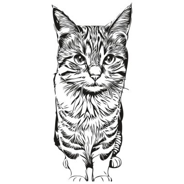 Kedi logosu, siyah beyaz çizim el kedi resmi