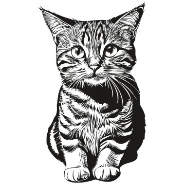 Kedi logosu, siyah beyaz çizim el kedi resmi