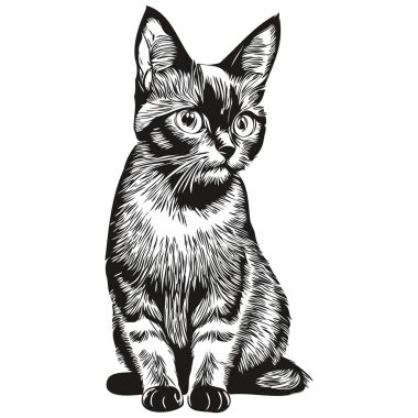 Kedi vektörü çizim çizgisi siyah beyaz kedi yavrusu çiziyor