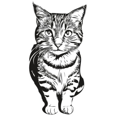 Sevimli çocuklar, içinde kedi yavrusu olan el çizimi bebek posterleri.