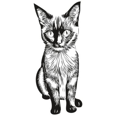 Kedi resimlerini klasik el çizim tarzıyla çiz