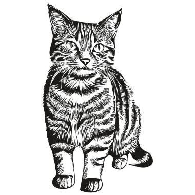 El çizimi çizgi film Kedi, vektör vintage çizim kitte