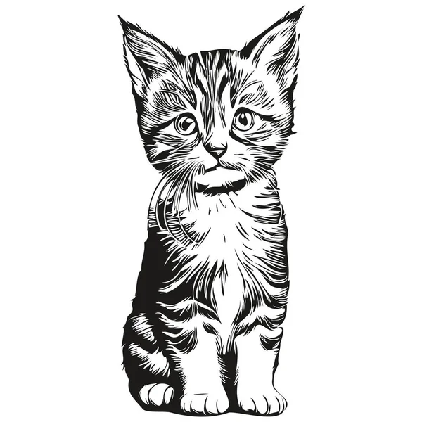 Mínimo gato de desenho — Ilustração de Stock  Dibujos a tinta, Muñeca  dibujo, Dibujos de gatos