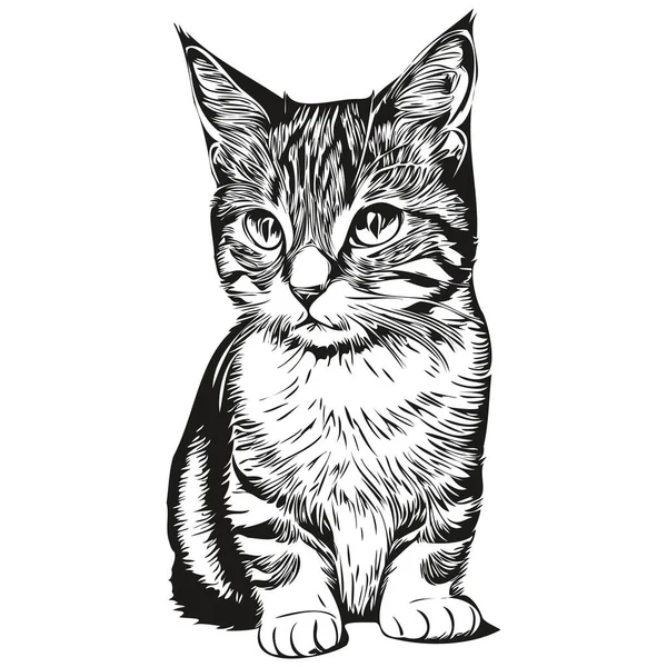 Kedi logosu, siyah beyaz çizim el kedi resmi