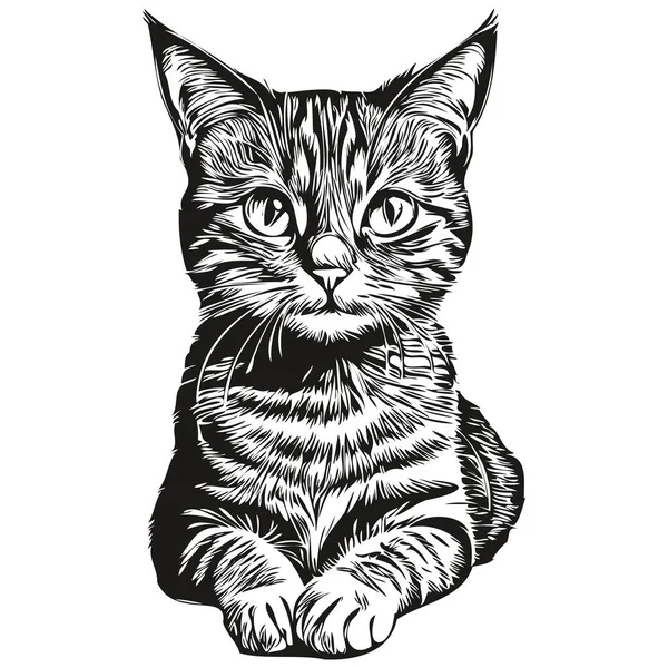 Логотип Cat Черно Белая Иллюстрация Ручного Рисования Котенка — стоковый вектор