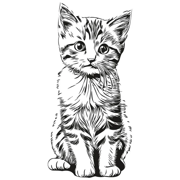 猫スケッチ 白地に猫の肖像画 — ストックベクタ
