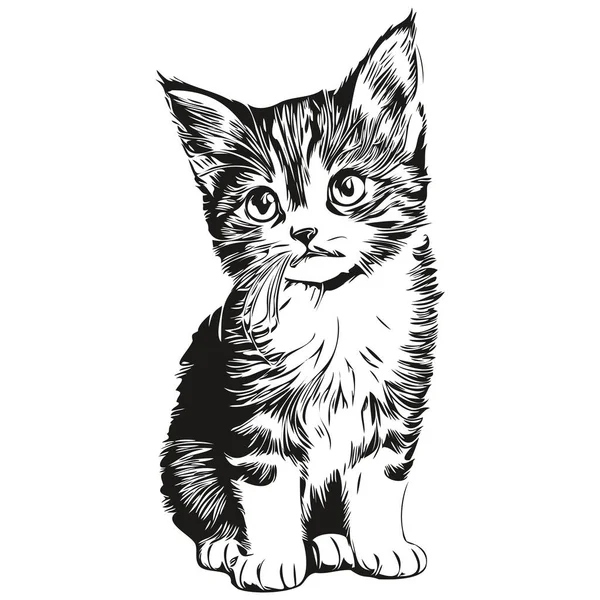 Sevimli el çizimi Kedi, vektör çizimi siyah beyaz kedi