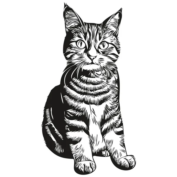 Sevimli çocuklar, içinde kedi yavrusu olan el çizimi bebek posterleri.