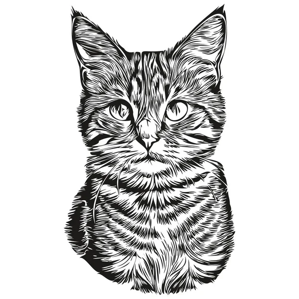 Cute Kids Hand Drawn Nursery Poster Cat Animal Kitte — Stock Vector