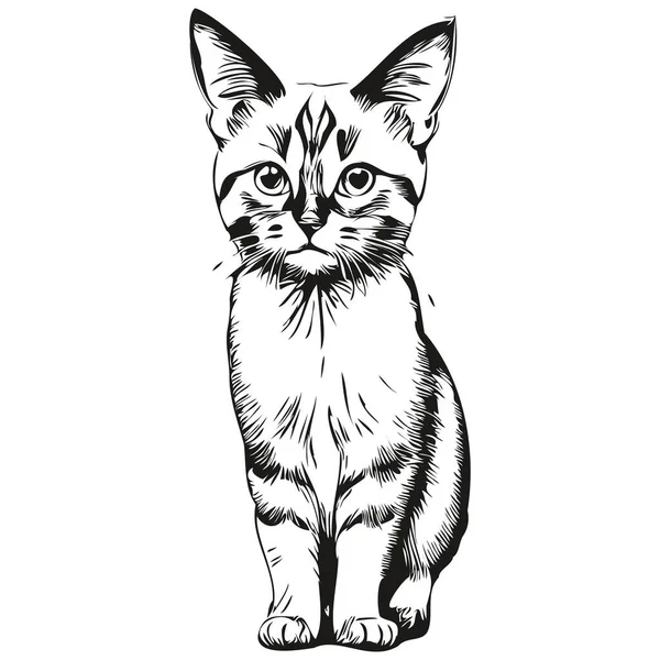 Симпатичные Дети Нарисовали Детский Плакат Кошкой Кошкой — стоковый вектор