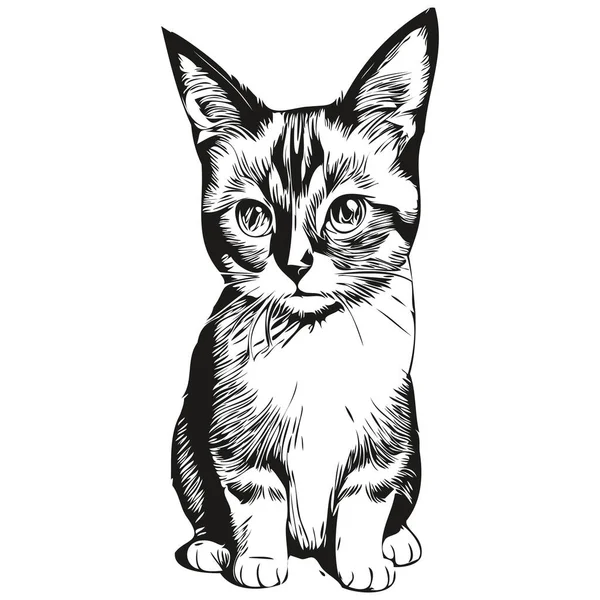 ヴィンテージハンドドローイングスタイルの猫のイラストを埋め込む Kitte — ストックベクタ