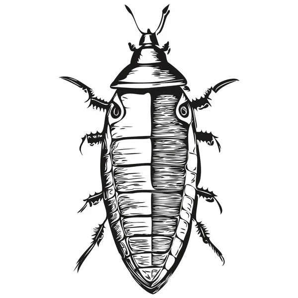 ゴキブリのロゴ黒と白のイラストハンドドローイングゴキブリ — ストックベクタ